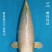 10000 阪井銀狐47cm  母魚 3584 no.1300 IMG_1028_1